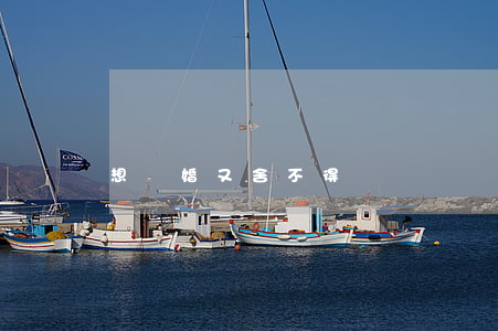 想離婚又舍不得