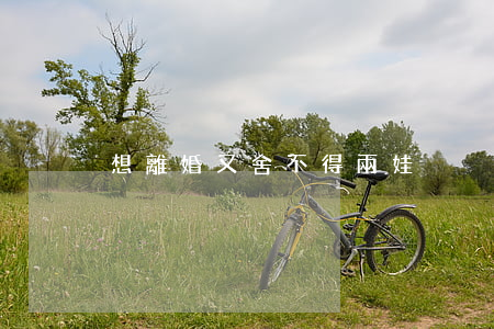 想離婚又舍不得兩娃