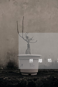 想離婚又離不掉婚怎么辦