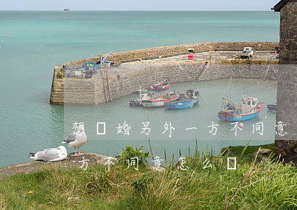想離婚另外一方不同意怎么辦(想離婚另外一方不同意怎么辦)