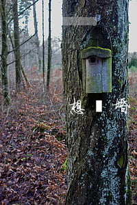 想離婚在哪里找律師(想離婚在哪里找律師)
