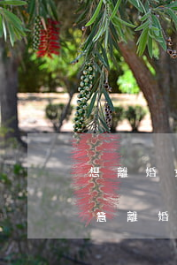 想離婚女方不同意怎么才能離(怎么讓女方同意離婚)