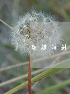 想離婚對(duì)方不離怎么辦