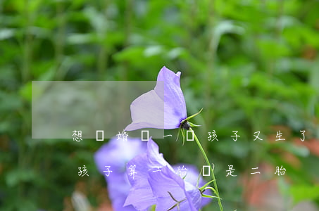 想離婚帶一個孩子又生了二胎(離婚再生一個孩子算一胎還是二胎)