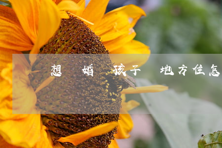 想離婚帶孩子沒地方住怎么辦