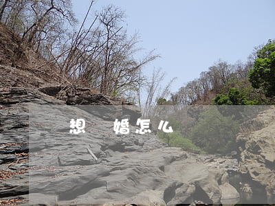 想離婚怎么辦