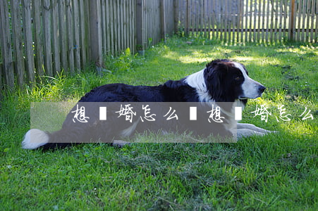 想離婚怎么辦(想離婚怎么辦)