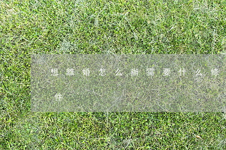 想離婚怎么辦，需要什么條件（離婚需要什么條件）