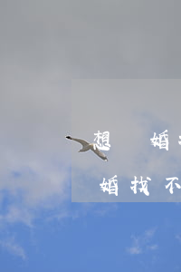 想離婚找不到對(duì)方怎么辦(訴訟離婚找不到對(duì)方應(yīng)該怎么辦)