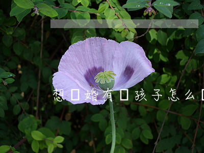 想離婚有個孩子怎么辦