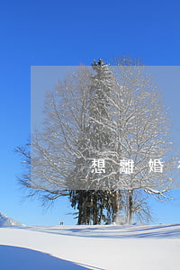 想離婚有兩個(gè)孩子怎么辦