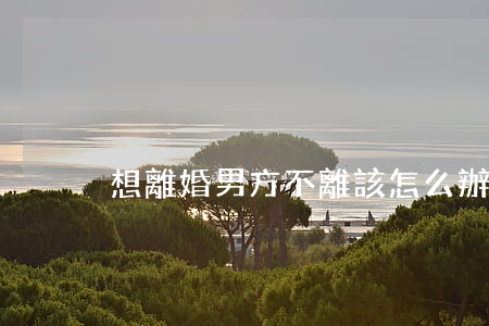想離婚男方不離該怎么辦