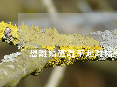 想離婚確離不起(離婚有那么難嗎想離離不掉)