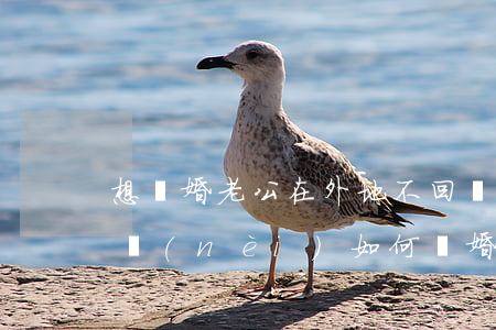 想離婚老公在外地不回來怎么辦(老公不在國內(nèi)如何離婚)