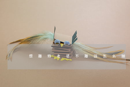 想離婚老婆不離該怎么辦
