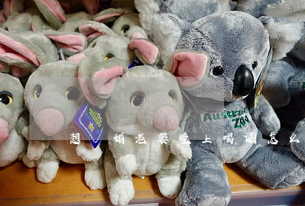 想離婚老婆晚上喝酒怎么辦