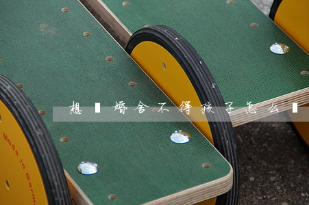 想離婚舍不得孩子怎么辦