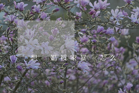 想離婚被家暴該怎么辦