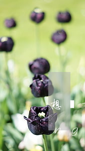 想離婚該怎么去做(如果想要離婚了應(yīng)該怎么做)