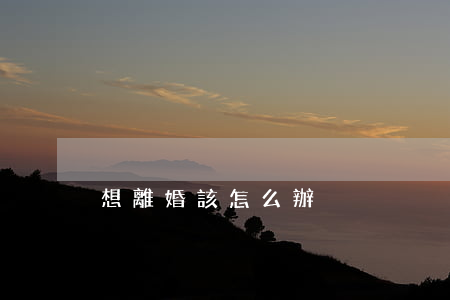 想離婚該怎么辦