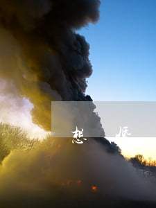 想離婚該怎么辦呢
