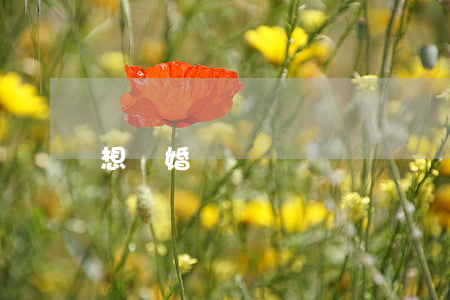 想離婚說說