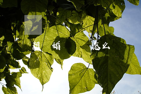 想離婚還沒離怎么辦