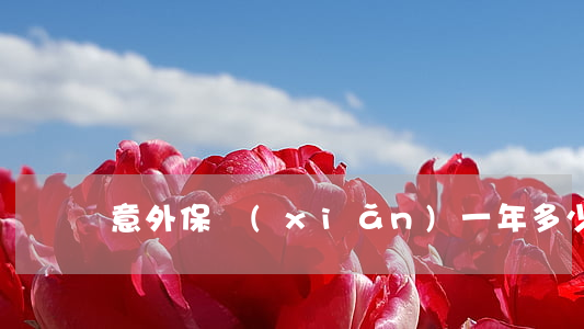 意外保險(xiǎn)一年多少錢