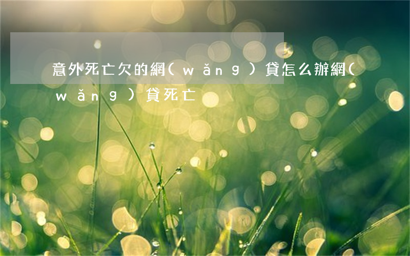 意外死亡欠的網(wǎng)貸怎么辦(網(wǎng)貸 死亡)