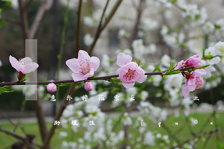 意外猝死索巨額賠償工傷保險(xiǎn)助理性維權(quán)