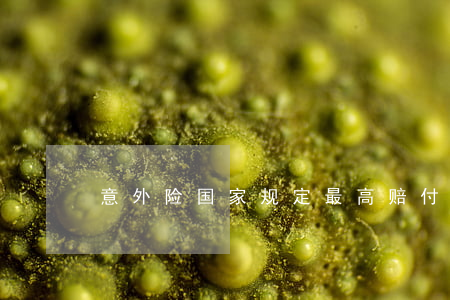 意外险国家规定最高赔付多少