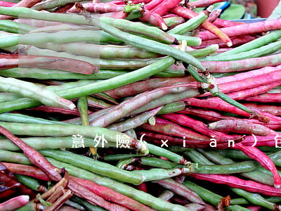 意外險(xiǎn)包括哪些意外