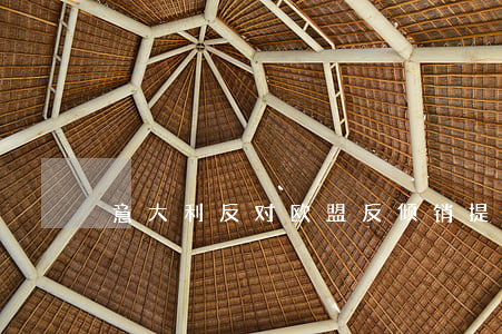 意大利反对欧盟反倾销提案