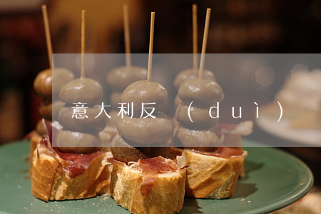 意大利反對(duì)歐盟反傾銷提案