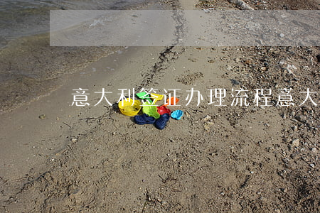 意大利签证办理流程(意大利签证好办吗)