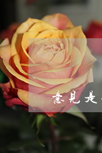 意见是什么意思