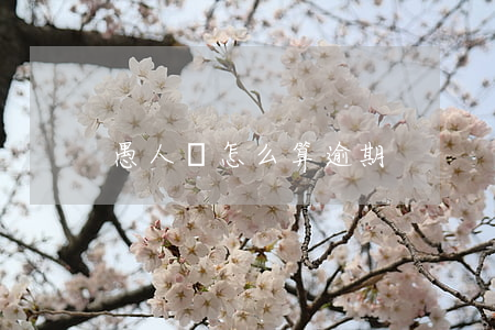 愚人貸怎么算逾期