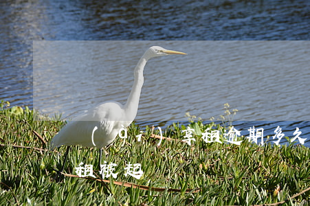 愛(ài)享租逾期多久起訴(愛(ài)享租被起訴)