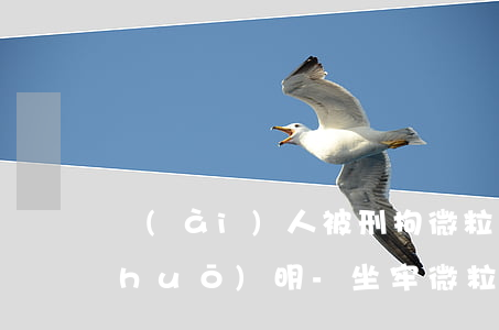 愛(ài)人被刑拘微粒貸逾期情況說(shuō)明-坐牢微粒貸逾期