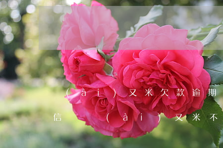 愛(ài)又米欠款逾期會(huì)上征信嗎(愛(ài)又米不還會(huì)上征信嗎)