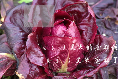 愛(ài)又米的逾期信息是哪里彈出的-愛(ài)又米逾期了怎么辦 愛(ài)又米逾期多久會(huì)打電話