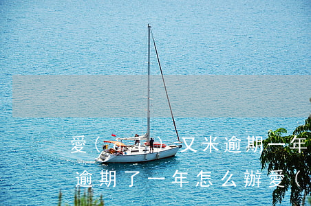 愛(ài)又米逾期一年了 愛(ài)又米逾期了一年怎么辦 愛(ài)又米逾期最多拖多久
