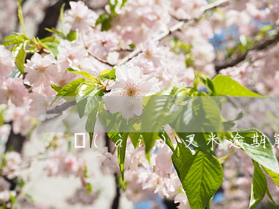 愛(ài)又米逾期能減免