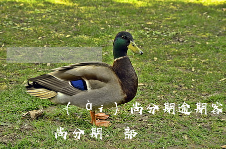 愛(ài)尚分期逾期客服微信 愛(ài)尚分期總部電話