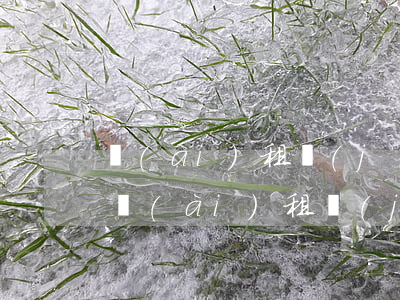 愛(ài)租機(jī)逾期后多久起訴-愛(ài)租機(jī)逾期兩天