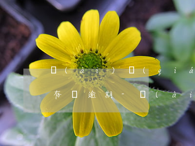 愛(ài)錢(qián)進(jìn)整存寶逾期-愛(ài)錢(qián)進(jìn)整存寶逾期