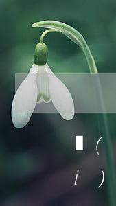 愛(ài)錢進(jìn)借啊逾期 愛(ài)錢進(jìn)借款