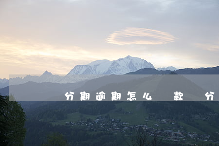愛分期逾期怎么還款(愛分期逾期怎么還款)