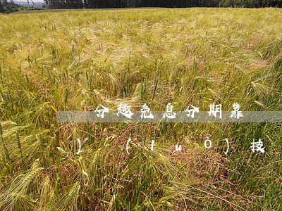 愛分趣免息分期靠譜嗎 愛分趣網(wǎng)絡(luò)技術(shù)(上海)有限公司