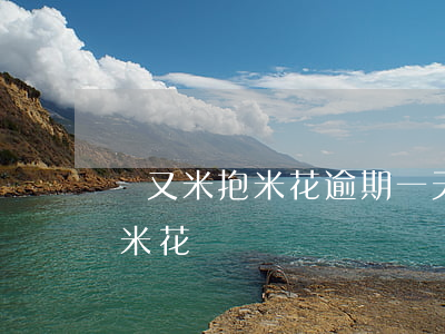 愛又米抱米花逾期一天上征信嗎-愛又米抱米花貸唄